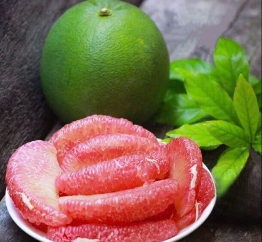 DOAN GIA CO.,LTD DOAN GIA CO.,LTD